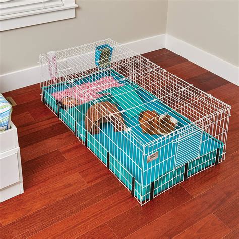 diy guinea pig cage|guinea pig cage layout.